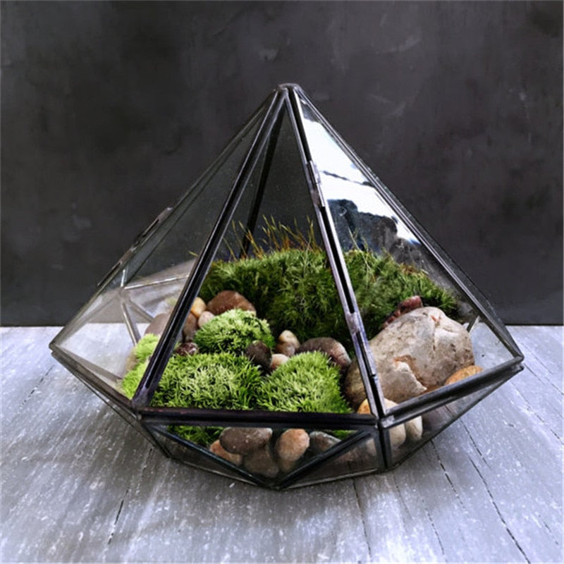 Diamond Shaped Glass Terrarium - DARK MOON