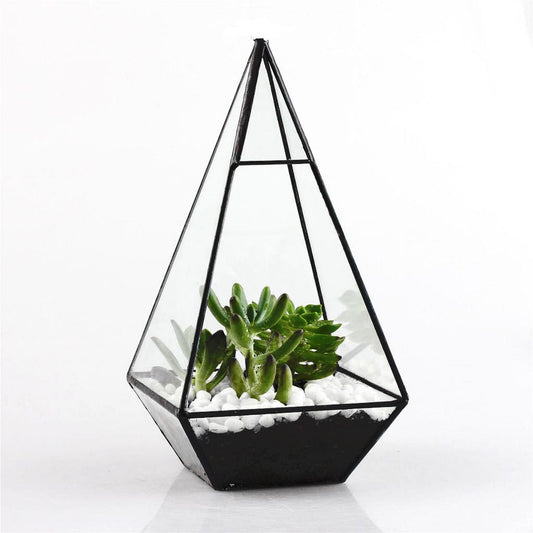 Pyramid Glass Terrarium - DARK MOON