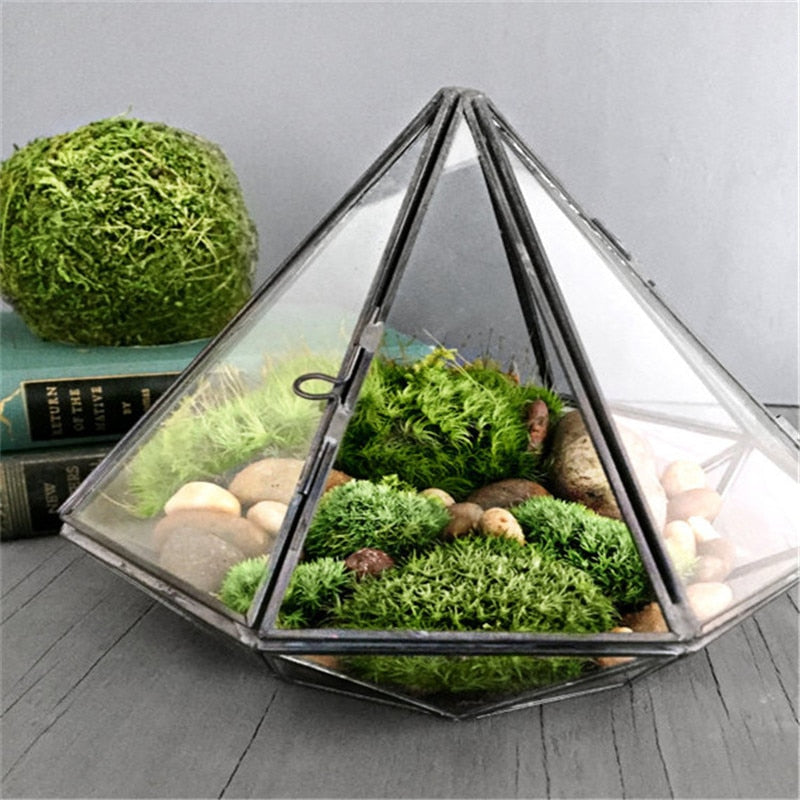 Diamond Shaped Glass Terrarium - DARK MOON